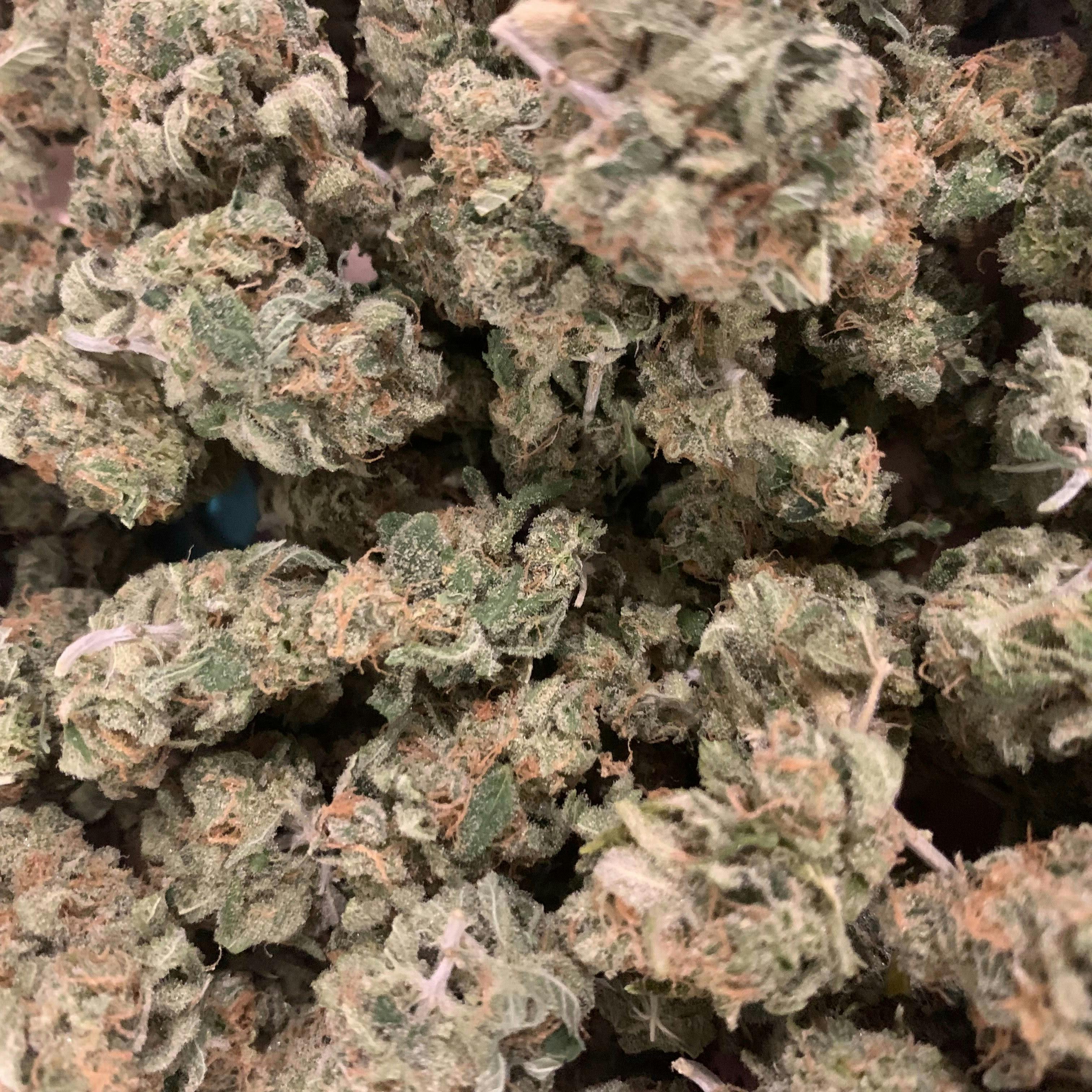 Blue Dream